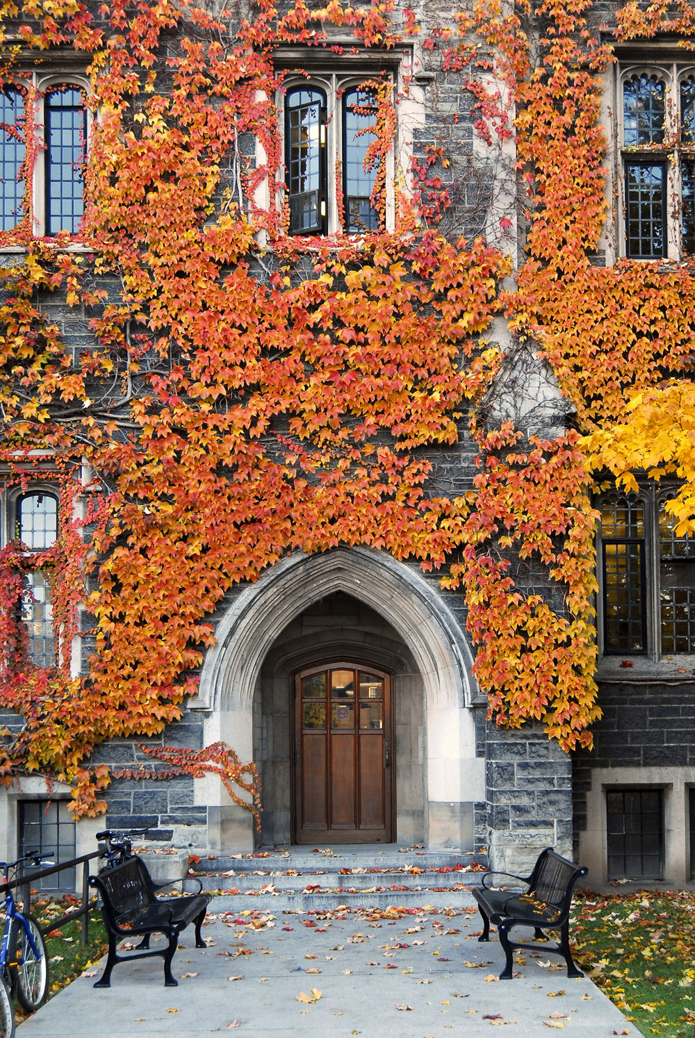 iStock-147320087-college-entrance college entrance door with ivy